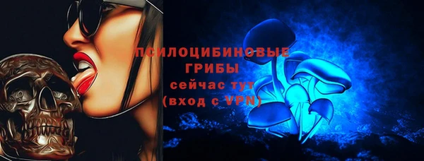 не бодяженный Няндома