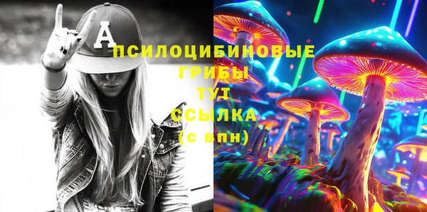 спиды Горнозаводск