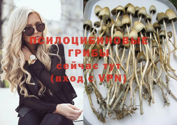 спиды Горнозаводск