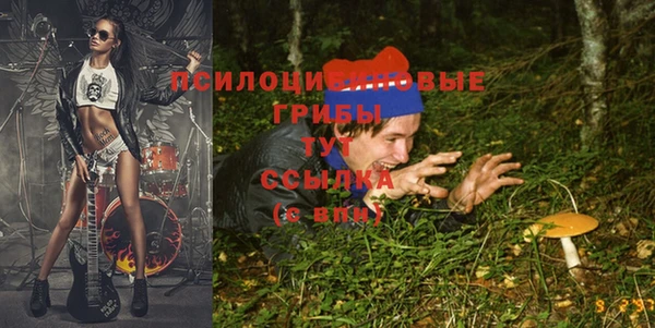 метадон Горняк