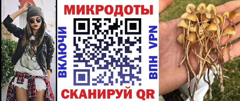 Галлюциногенные грибы Magic Shrooms  купить закладку  Саранск 